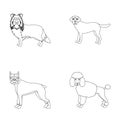 Dog, laika, beagle and other web icon in outline style.Poodle, animal, ears icons in set collection.