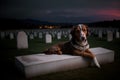 A Dog That Is Laying Down On A Grave. Generative AI