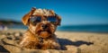 dog lazy chair sunglasses beach funny summer vacation pet relax. Generative AI.