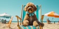 dog lazy vacation sunglasses pet beach funny chair summer relax. Generative AI.
