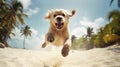 Dog leaps and plays on the beach Royalty Free Stock Photo