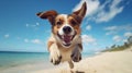 Dog leaps and plays on the beach Royalty Free Stock Photo