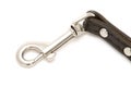 Dog leash closeup Royalty Free Stock Photo