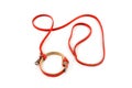 Dog leash and collar isolated on a white background Royalty Free Stock Photo