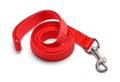 Dog Leash Royalty Free Stock Photo