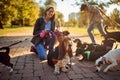 Dog on leash and enjoying in the park