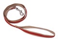 Dog leash with quick release clasp bucket