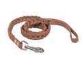 Dog leather leash Royalty Free Stock Photo