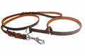 Dog leather leash and collar