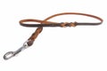 Dog leather leash Royalty Free Stock Photo