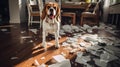 The dog left at home caused a mess in the room with scattered things, broken dishes, dirt. Concept of missing the owner