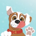 Dog licks a snowflake on your nose. Royalty Free Stock Photo