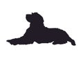 Dog lies, silhouette, vector