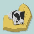 Dog lies on pillow, vector,