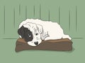 Dog lies on pillow, vector,