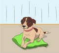 Dog lies on pillow, vector,