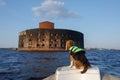 dog in a life jacket in a boat. beagle puppy sea voyage