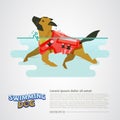 Dog with lifeguard swimming in ther water - vector