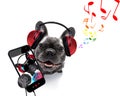 Dog listening to music Royalty Free Stock Photo