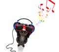 Dog listening to music Royalty Free Stock Photo