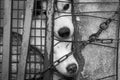 dog locked in the cage Royalty Free Stock Photo