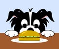 Dog Looking At Hamburger