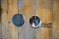 Dog looking through a hole in the fence Royalty Free Stock Photo