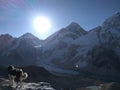 Dog is looking at mount Everest. Sunrise in mountains. Nepal Royalty Free Stock Photo