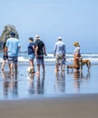 Dog lovers walk with their pets along the Pacific coast