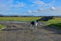 Dog lurcher Collie black and white dirt path old farm machinery blue skies Royalty Free Stock Photo