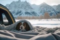 Dog lying on a blanket in a car in snowy landscape,ai generated