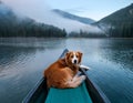 A dog lying casually on the edge of a canoe floating in a misty mountain lake Royalty Free Stock Photo