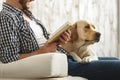 Dog lying with its human indoors Royalty Free Stock Photo