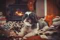 Dog Lying By The Log Fire