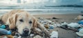 Dog lying on polluted beach, surrounded by trash and plastic waste, reflecting environmental issues and animal welfare Royalty Free Stock Photo
