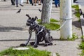 The dog is made of a metal garbage Royalty Free Stock Photo