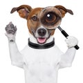 Dog with magnifying glass Royalty Free Stock Photo