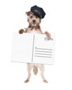 Dog Mailman Delivering Postcard