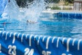 Dog jumping in to a pool Royalty Free Stock Photo