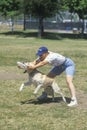 Dog and man practicing at Canine Frisbee Contest