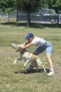 Dog and man practicing at Canine Frisbee Contest, Westwood, Los Angeles, CA