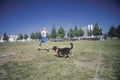 Dog and man practicing at Canine Frisbee Contest, Westwood, Los Angeles, CA