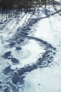 Dog and man tracks in the snow on nature. Boot track in the snow. Stock background Royalty Free Stock Photo