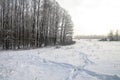 Dog and man tracks in the snow on nature. Boot track in the snow. Stock background Royalty Free Stock Photo