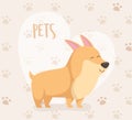 Dog mascot character with heart and paw prints background Royalty Free Stock Photo