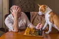 Dog and mature man discussing capitulation conditions in a chess family tournament
