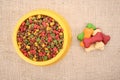 Dog meal top view Royalty Free Stock Photo