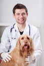 Dog during medical appointment with vet