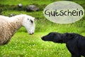 Dog Meets Sheep, German Word Gutschein Means Voucher