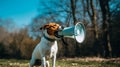 Dog with Megaphone in bushland